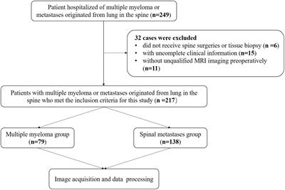 Differentiation between spinal multiple myeloma and metastases originated from lung using multi-view attention-guided network